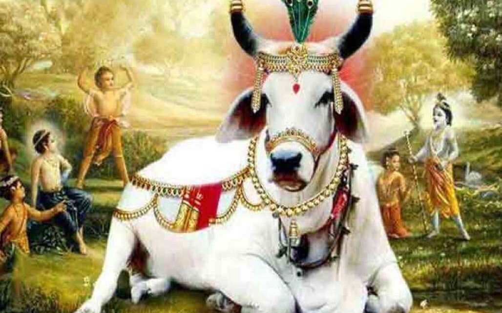 Gau raksha hamaara param dharm