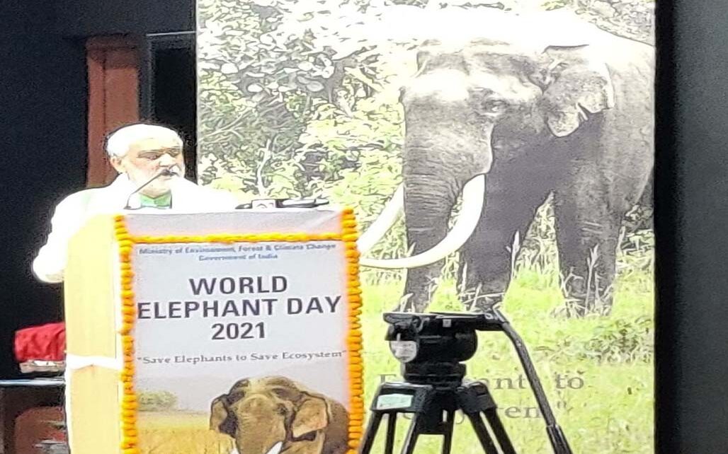 World Elephant day 2021
