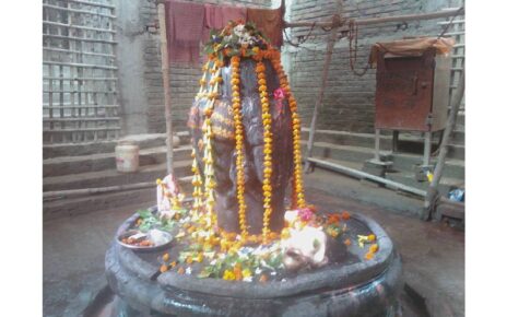  भगवान शिव का यह अद्भुत मंदिर बिहार के वैशाली जिले के कम्मन छपरा गांव में अवस्थित है। इस मंदिर में चौमुखी शिवलिंग वास करते हैं। इसे लेकर ...