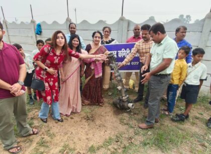 देवोत्थान एकादशी और तुलसी विवाह के उपलक्ष्य में लिट्रा पब्लिक स्कूल , मौजीपुर मुख्य ब्रांच में वृहद रूप से वृक्षारोपन कार्यक्रम का आयोजन क...